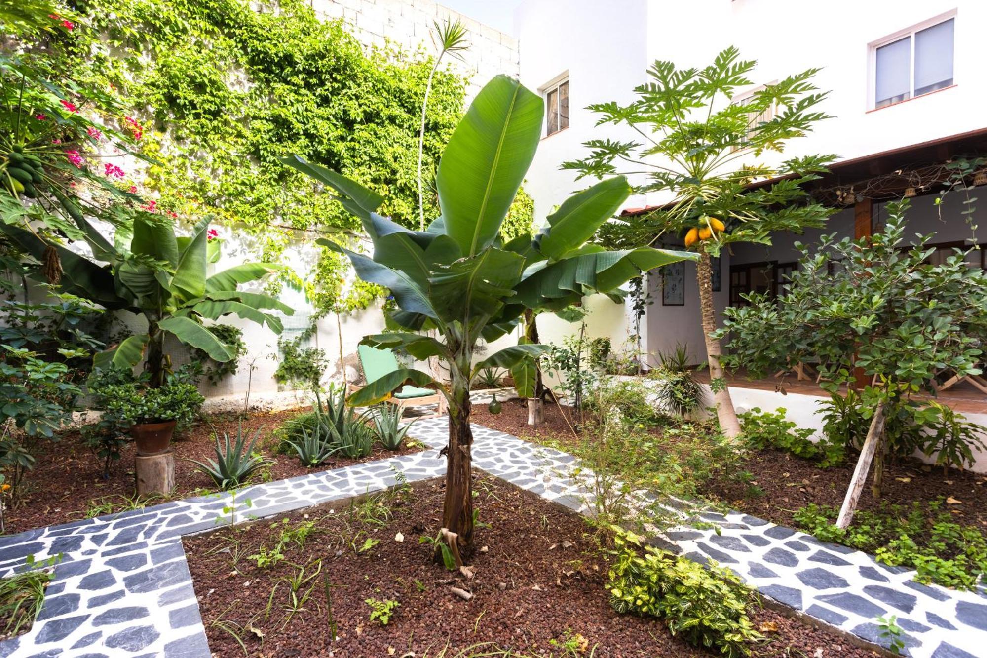 فيلا Garachico Center Secret Garden المظهر الخارجي الصورة
